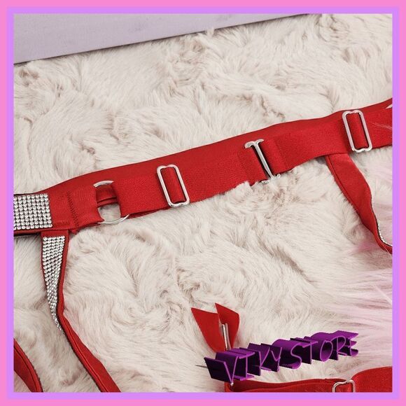NWT Red Radiance: Victoria's Secret Crystals Garter XS NWT - Picture 5 of 5